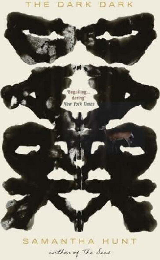 The Dark Dark av Samantha Hunt