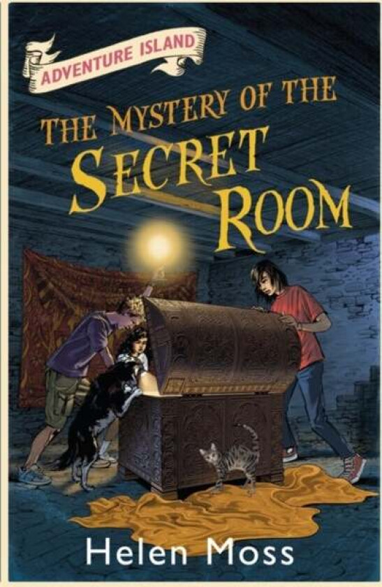 Adventure Island: The Mystery of the Secret Room av Helen Moss