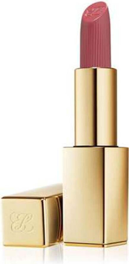 Pure Color Lipstick Matte 3,5 g 669 Stolen Heart
