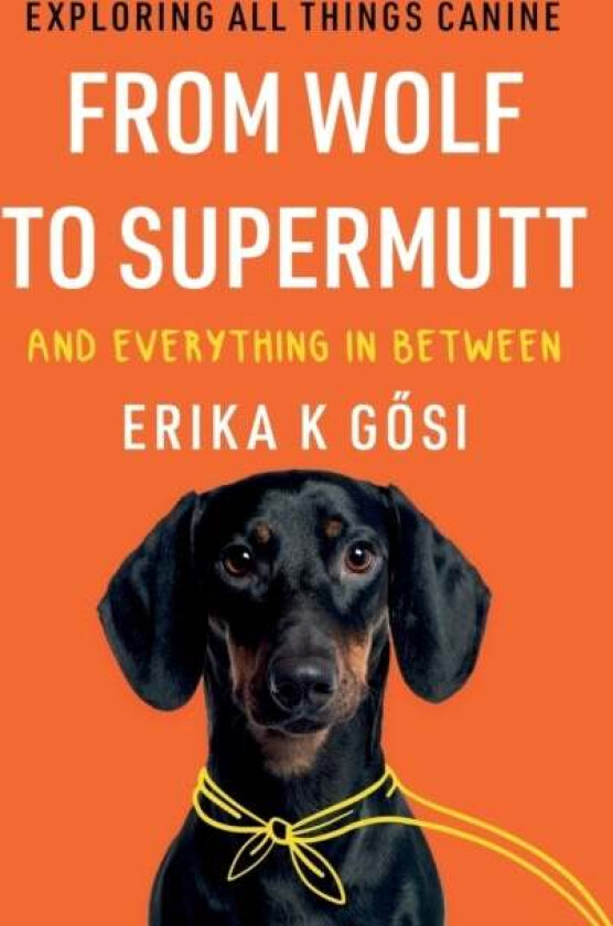 From Wolf to Supermutt and Everything In Between av Erika K Gosi