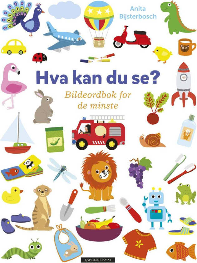 Hva kan du se? av Anita Bijsterbosch