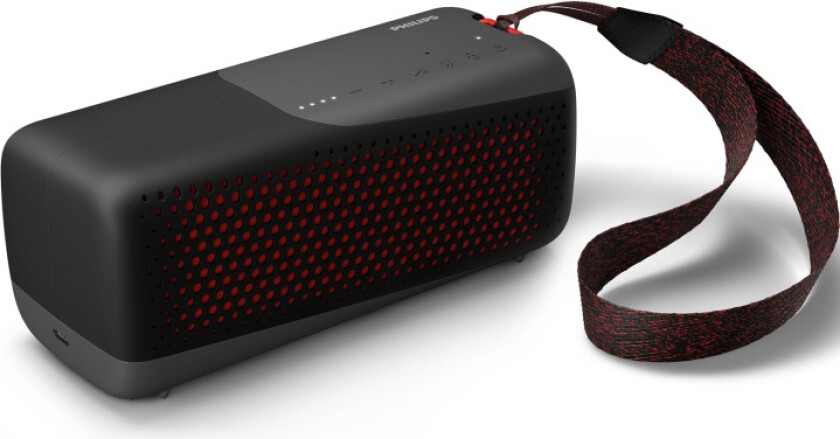 TAS4807B - speaker - for portable use - wireless