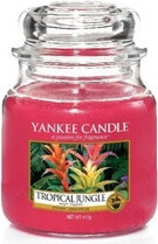 - Tropical Jungle Candle - Scented candle 411.0g