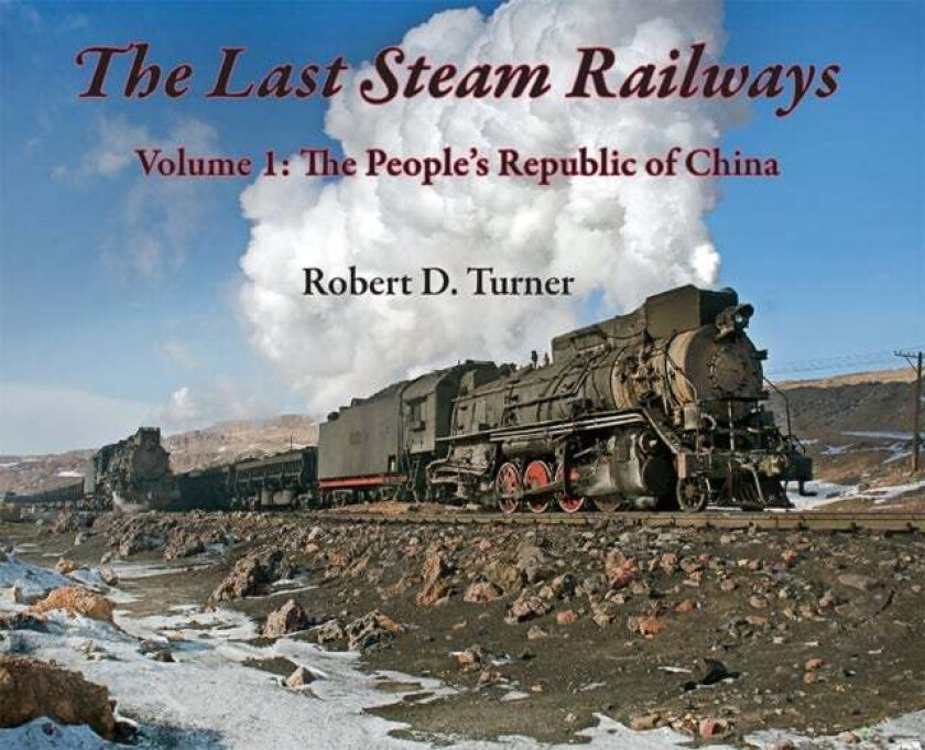 The Last Steam Railways av Robert D. Turner