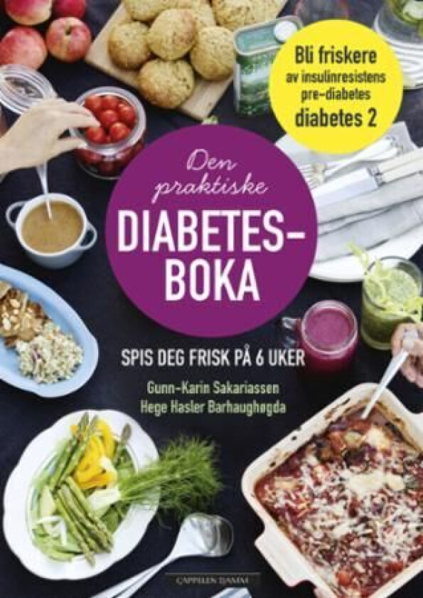 Den praktiske diabetesboka av Hege Hasler   Sakariassen Gunn Barhaughøgda