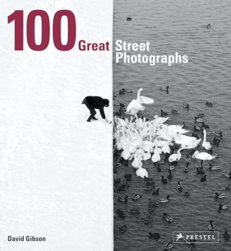 100 Great Street Photographs av David Gibson
