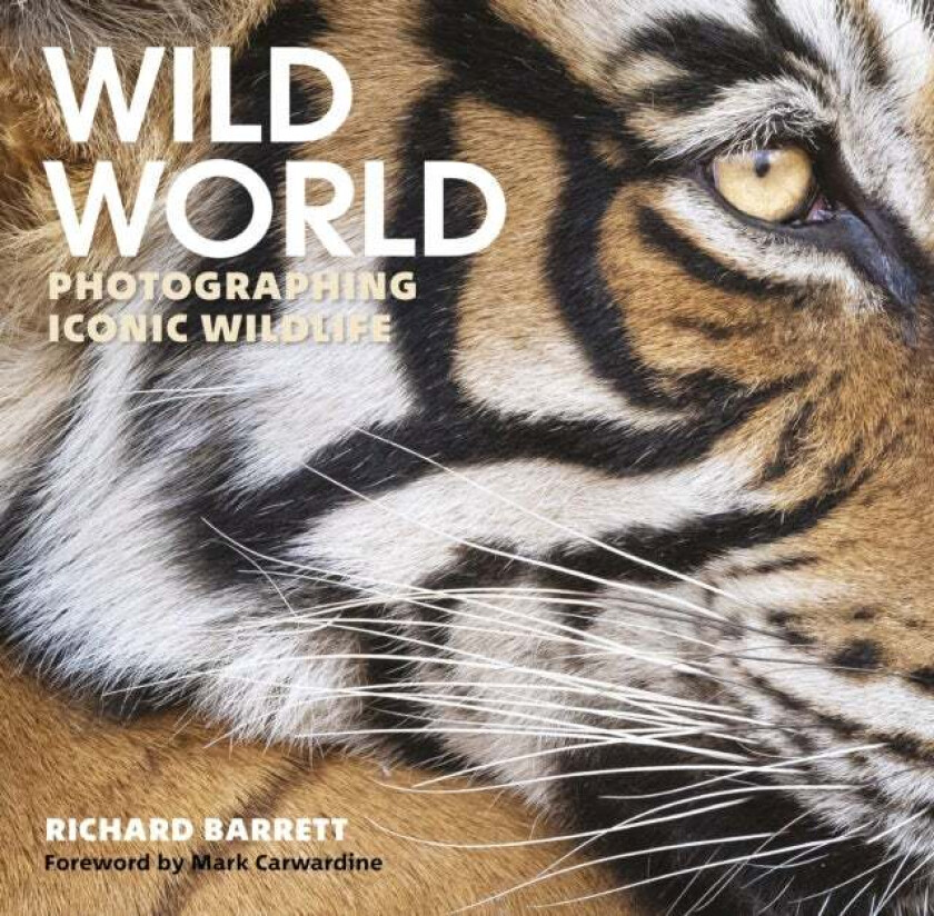Wild World av Richard Barrett