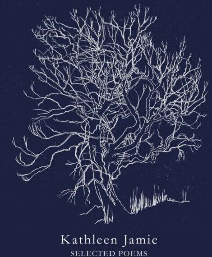 Selected Poems av Kathleen Jamie