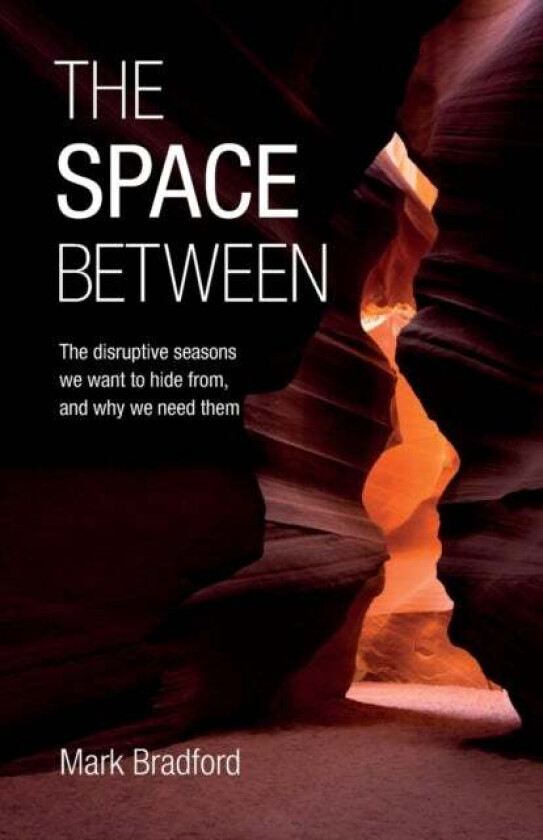 The Space Between av Mark Bradford