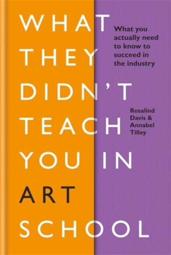 What They Didn't Teach You in Art School av Rosalind Davis, Annabel Tilley