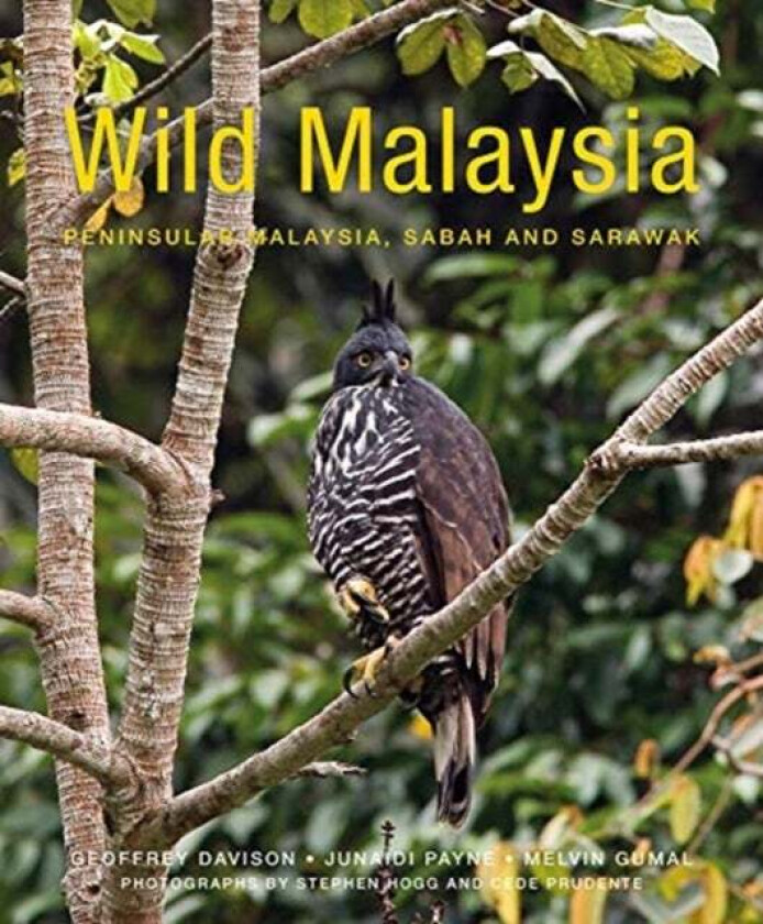 Wild Malaysia (2nd edition) av Geoffrey Davison, Melvin Gumal, Junaidi Payne