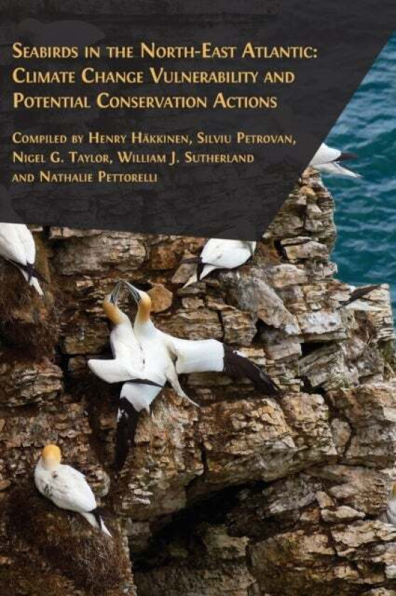 Seabirds In The North-East Atlantic Av Hakkinen Henry Hakkinen, Petrovan Silviu Petrovan, Taylor Nigel G. Taylor