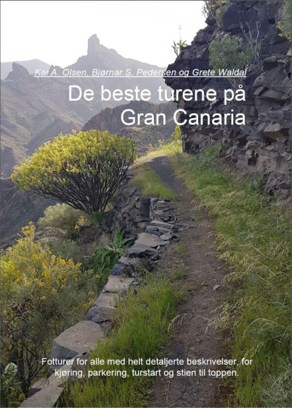 De Beste Turene På Gran Canaria Av Kai A. Olsen, Bjørnar S. Pedersen, Grete Waldal