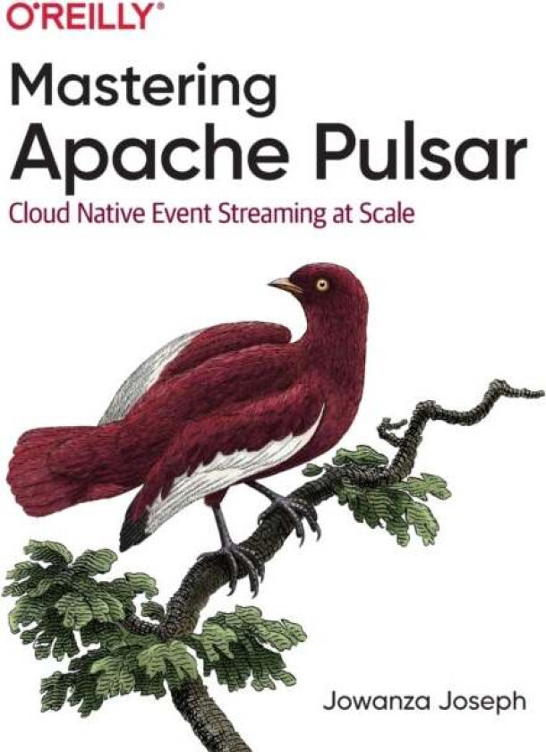 Mastering Apache Pulsar av Jowanza Joseph
