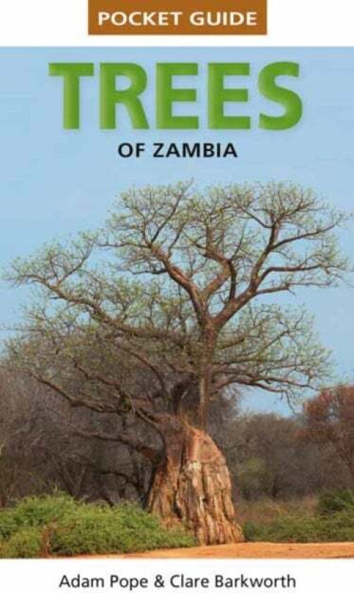 Pocket Guide Trees of Zambia av Clare Barkworth, Adam Pope