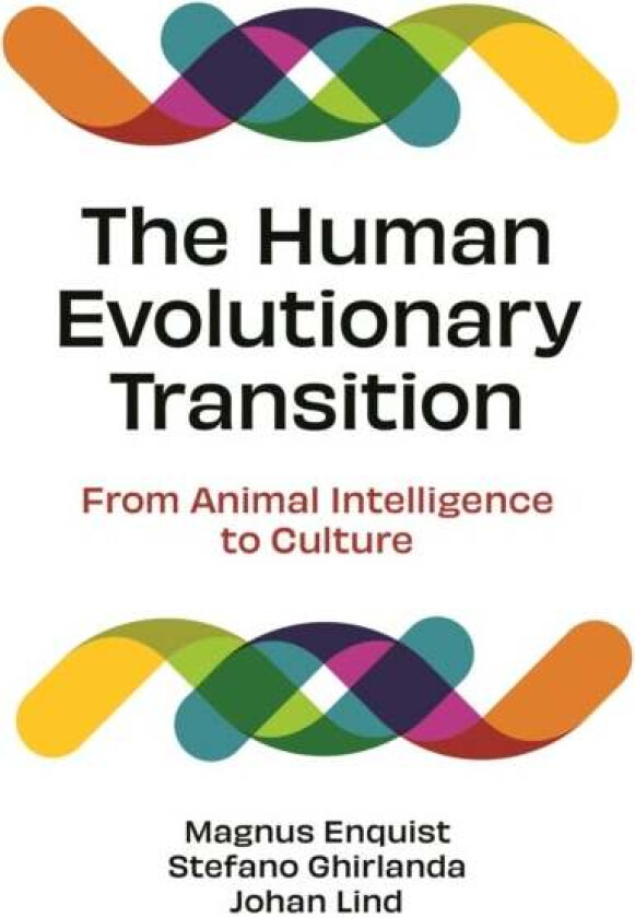 The Human Evolutionary Transition av Magnus Enquist, Stefano Ghirlanda, Johan Lind