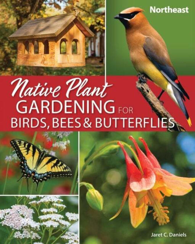 Native Plant Gardening for Birds, Bees & Butterflies: Northeast av Jaret C. Daniels