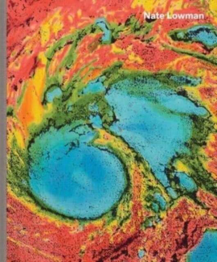 Nate Lowman av Jim Lewis