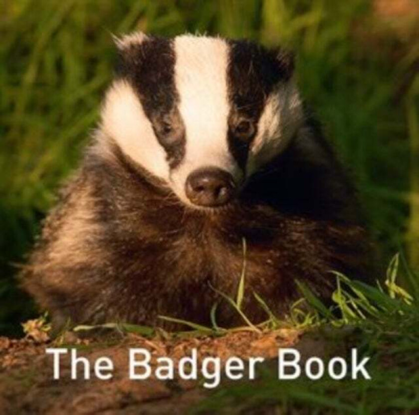 The Badger Book av Jo Byrne