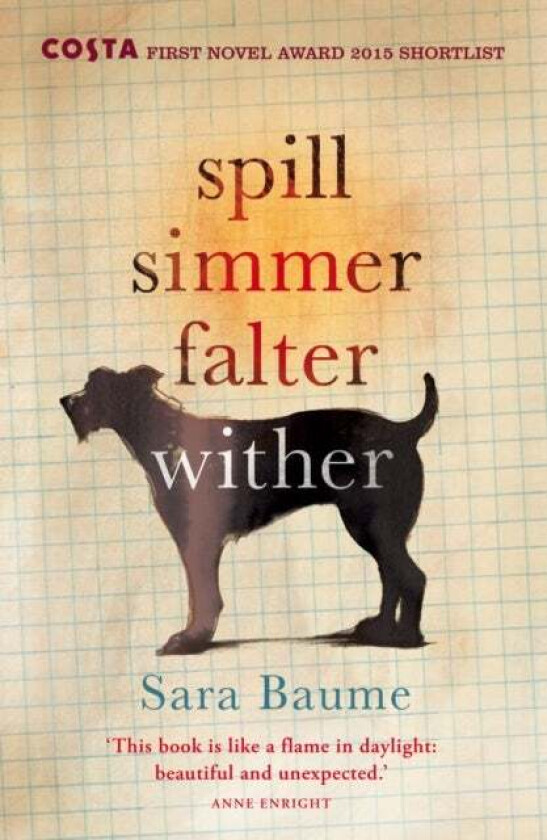 Spill Simmer Falter Wither av Sara Baume