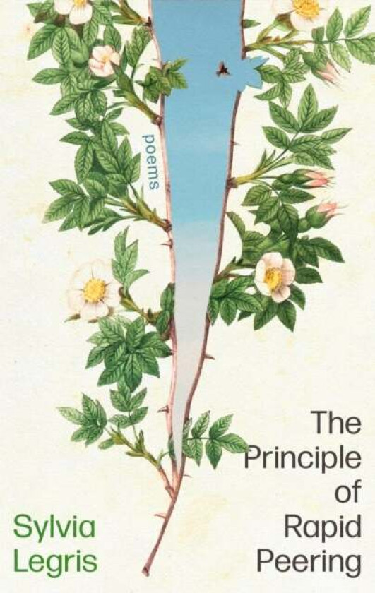 The Principle Of Rapid Peering Av Sylvia Legris