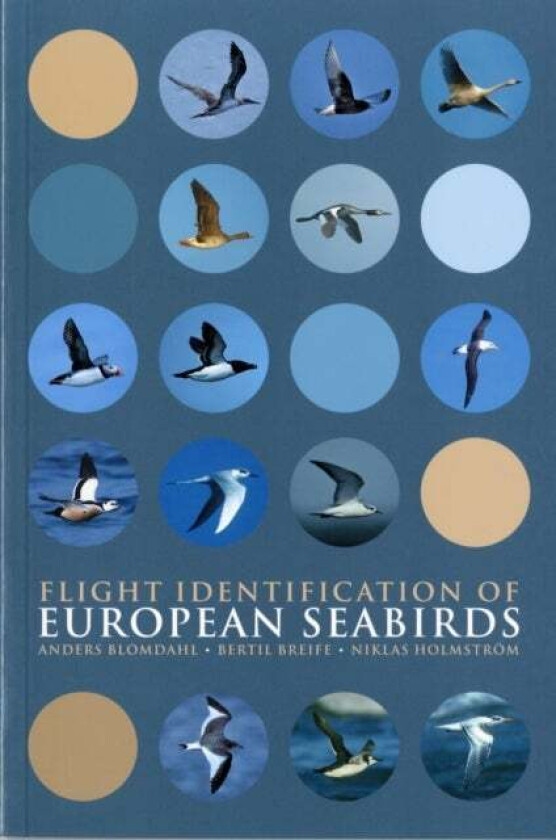 Flight Identification of European Seabirds av Anders Blomdahl, Bertil Breife, Niklas Holmstrom