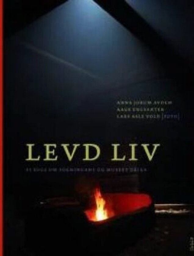 Levd liv av Anna Jorunn Avdem, Aage Engesæter