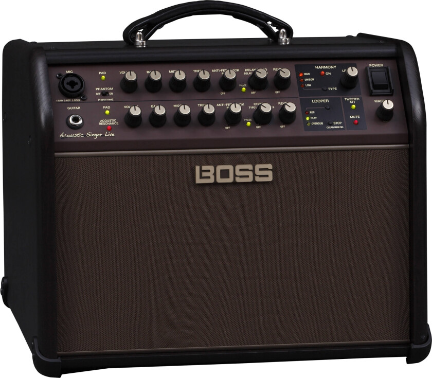 Boss Acoustic Singer Live