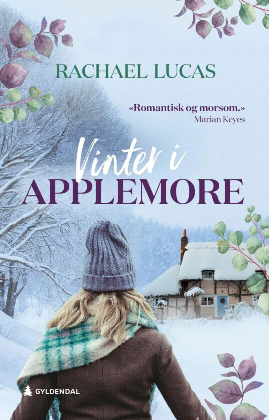 Vinter i Applemore av Rachael Lucas