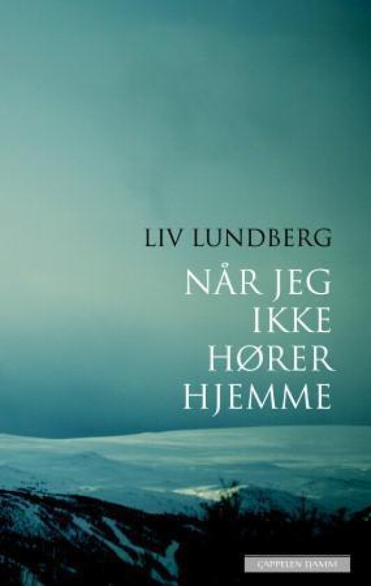 Når jeg ikke hører hjemme av Liv Lundberg