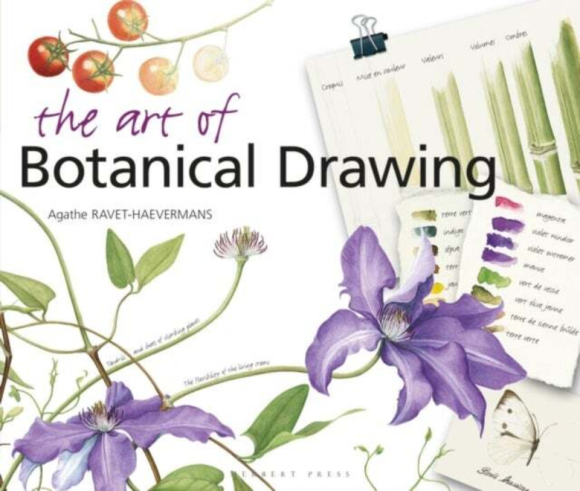 The Art of Botanical Drawing av Agathe Ravet-Haevermans