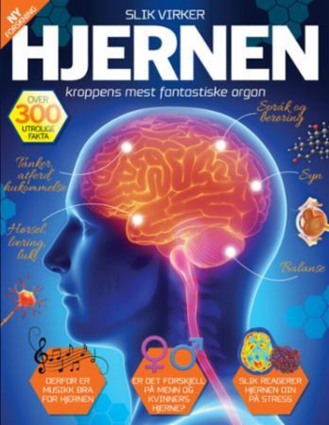 Slik virker hjernen