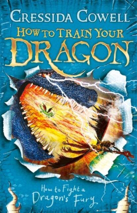 How to Train Your Dragon: How to Fight a Dragon's Fury av Cressida Cowell