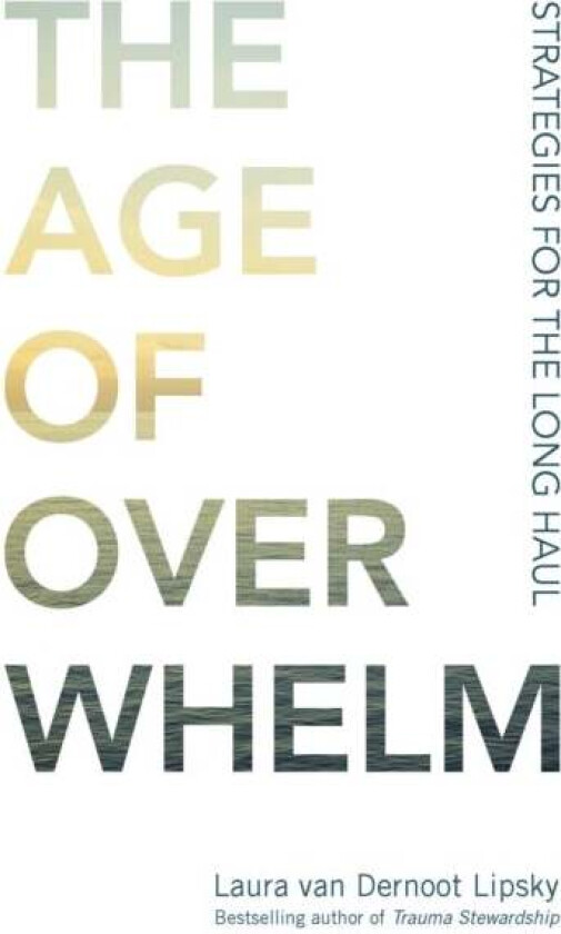 The Age of Overwhelm av Laura Van Dernoot Lipsky