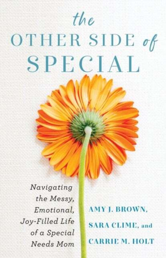 The Other Side of Special - Navigating the Messy, Emotional, Joy-Filled Life of a Special Needs Mom av Amy J Brown, Sara Clime, Carrie M Holt