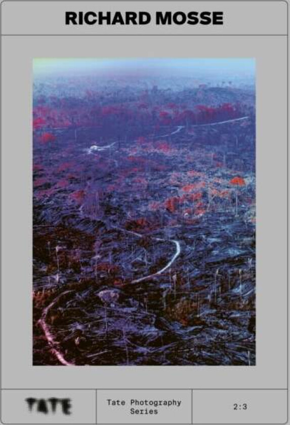 Tate Photography: Richard Mosse
