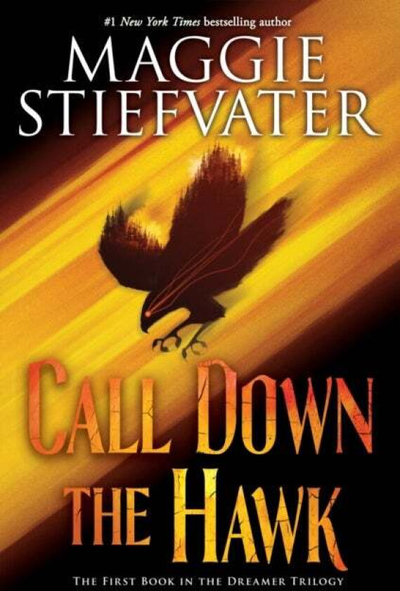 Call Down the Hawk (The Dreamer Trilogy, Book 1) av Maggie Stiefvater