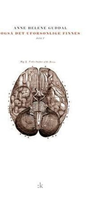 Også det uforsonlige finnes av Anne Helene Guddal