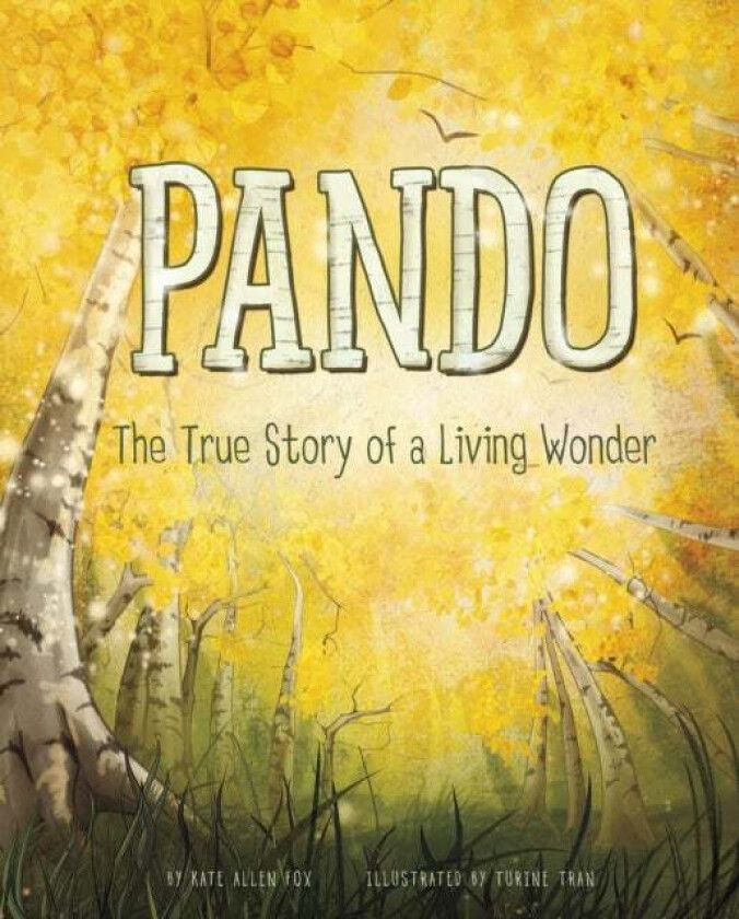 Pando av Author Kate Allen (Author) Fox