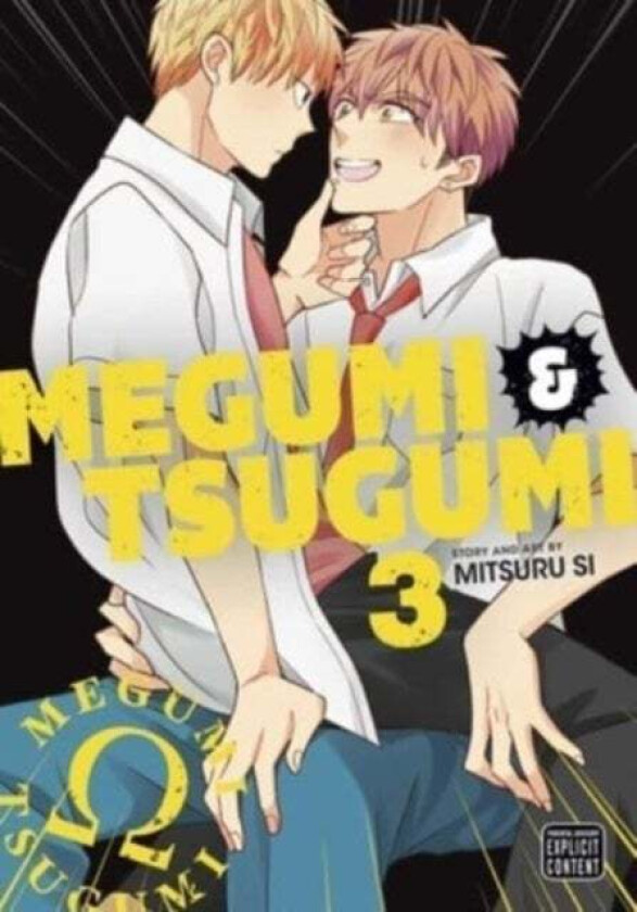 Megumi & Tsugumi, Vol. 3 av Mitsuru Si