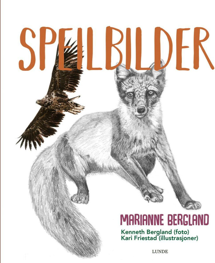 Speilbilder av Marianne Bergland