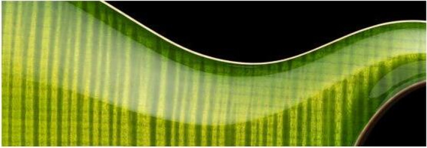 Prs Ce24-Er Eriza Verde