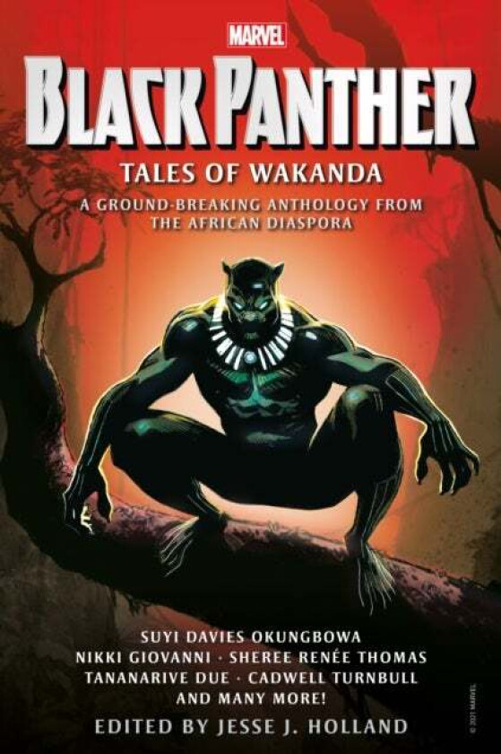 Black Panther: Tales of Wakanda av Jesse J. Holland, Sheree Renee Thomas, Nikki Giovanni