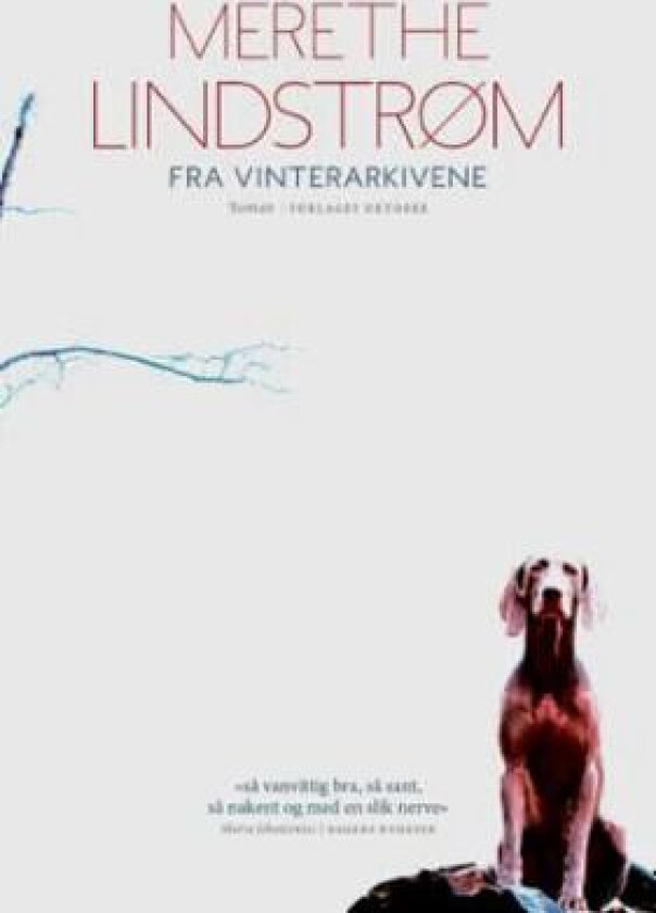 Fra vinterarkivene av Merethe Lindstrøm