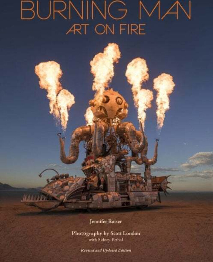 Burning Man: Art on Fire av Jennifer Raiser