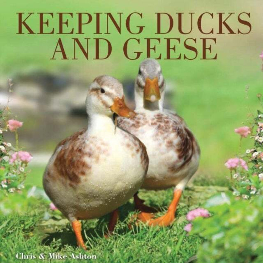 Keeping Ducks and Geese av Chris and Mike Ashton, Mike Ashton