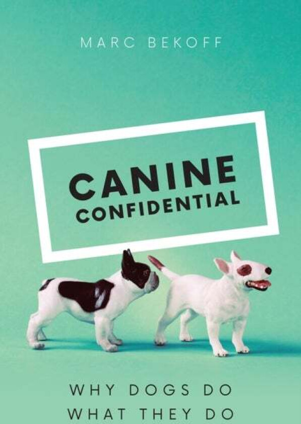 Canine Confidential av Marc Bekoff