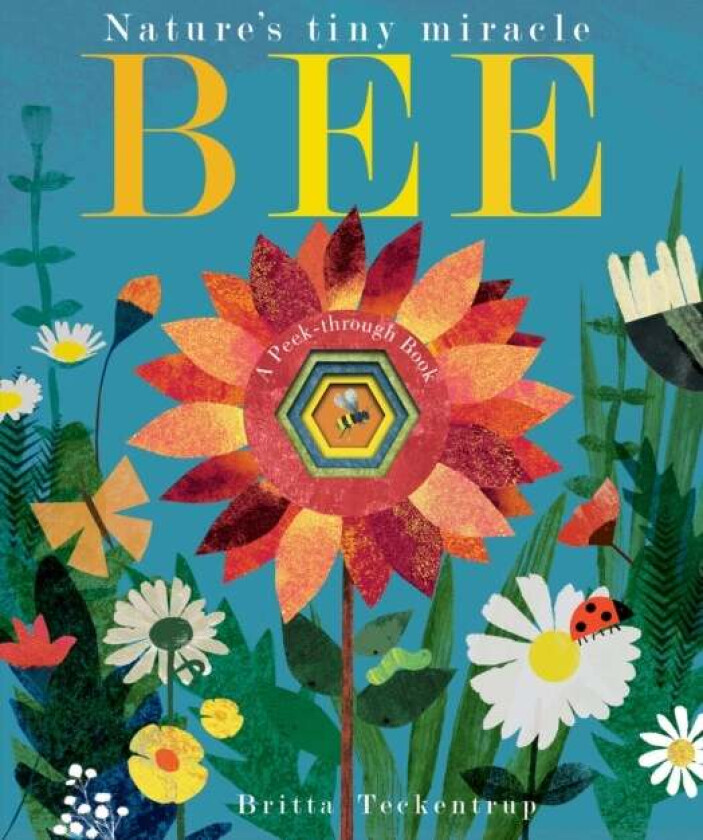 Bee av Patricia Hegarty