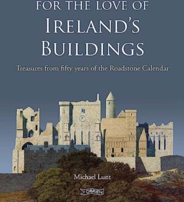 For The Love of Ireland's Buildings av Michael Lunt