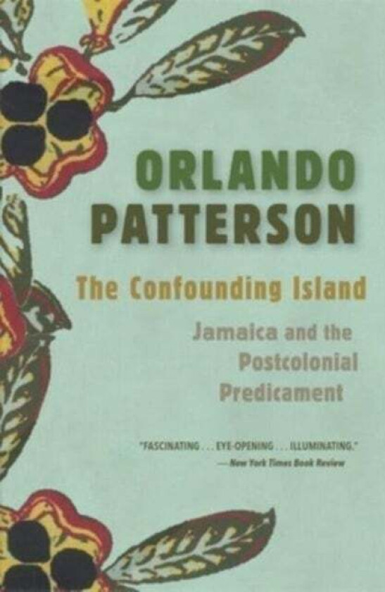 The Confounding Island av Orlando Patterson